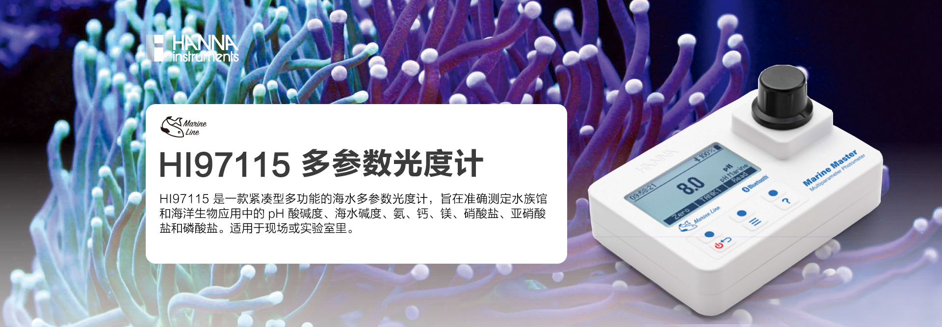 大圖二